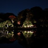 六義園ライトアップ 2025