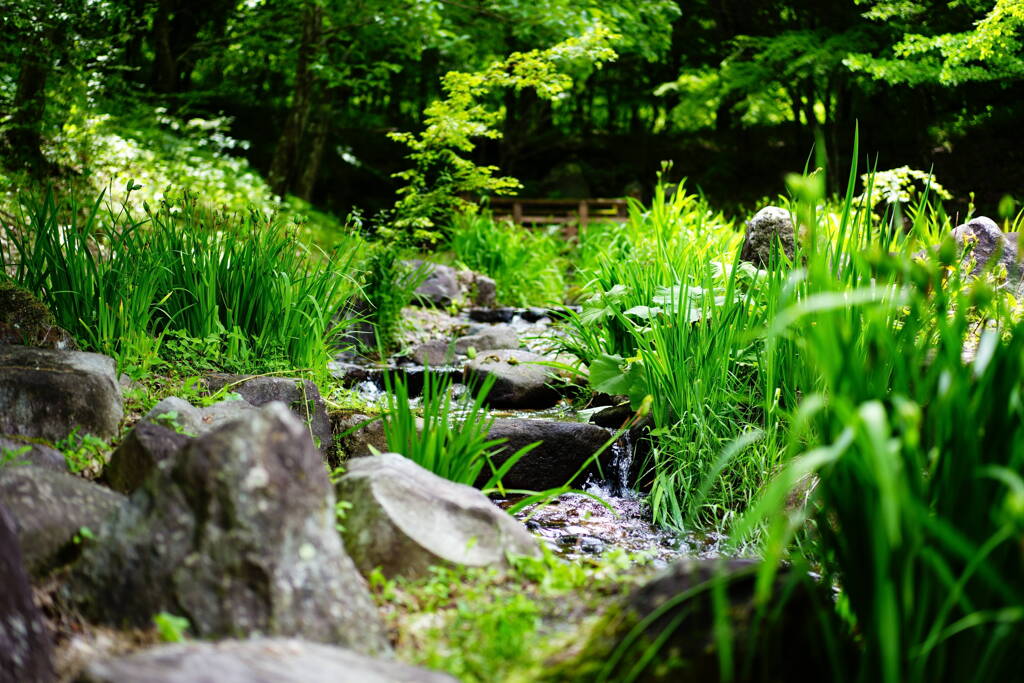 奥四万湖の稲包せせらぎ公園