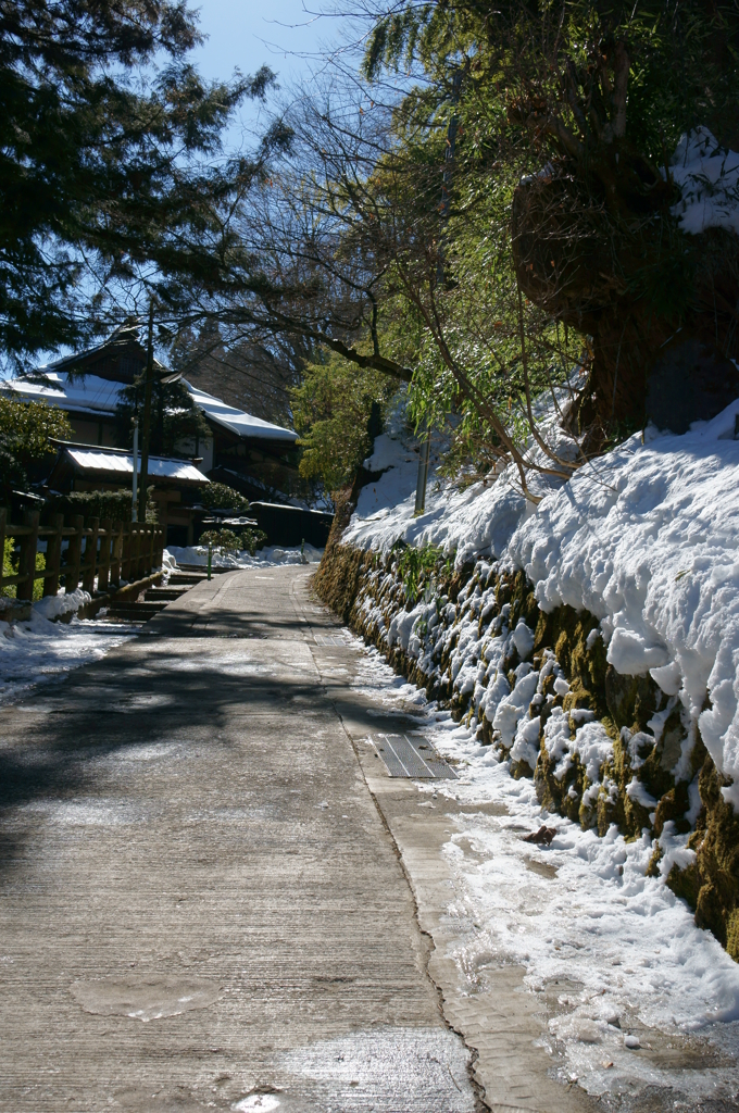 武蔵御嶽神社参道