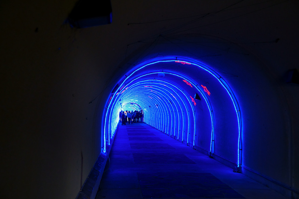 淡島マリンパーク