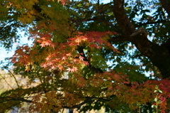 中禅寺湖_紅葉2