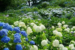 南部町内船うつぶな公園