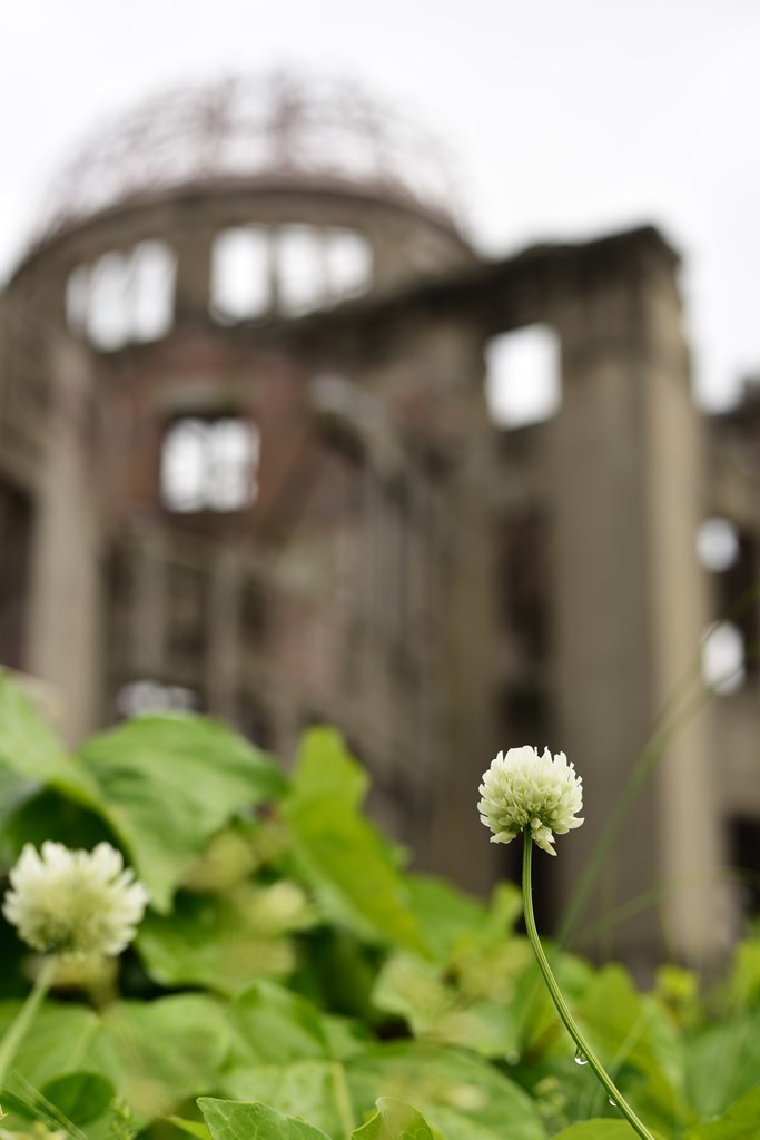 芽吹き