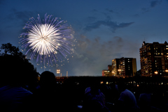 夏の夜空に花が咲く
