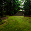 苔寺