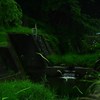 人知れぬ恋の軌跡