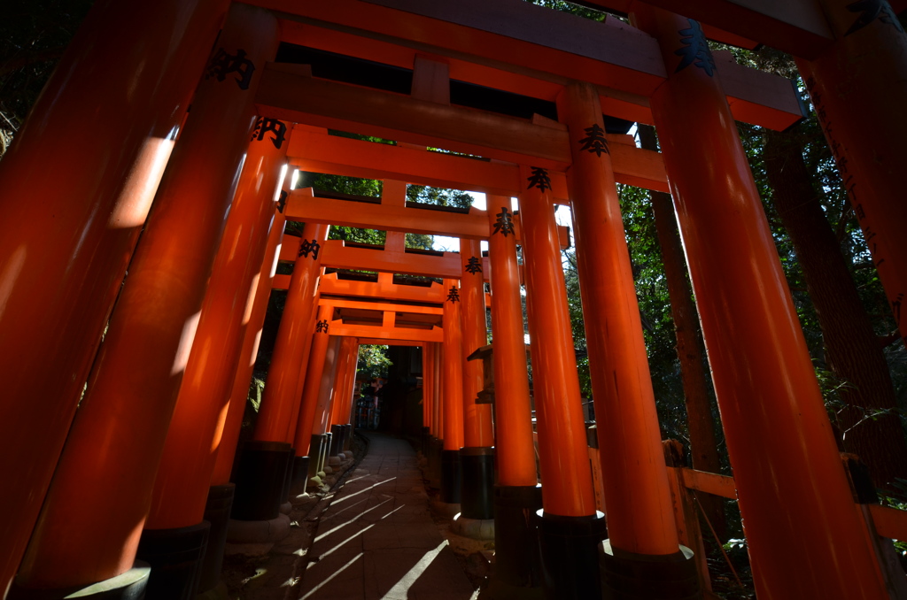 神域へ