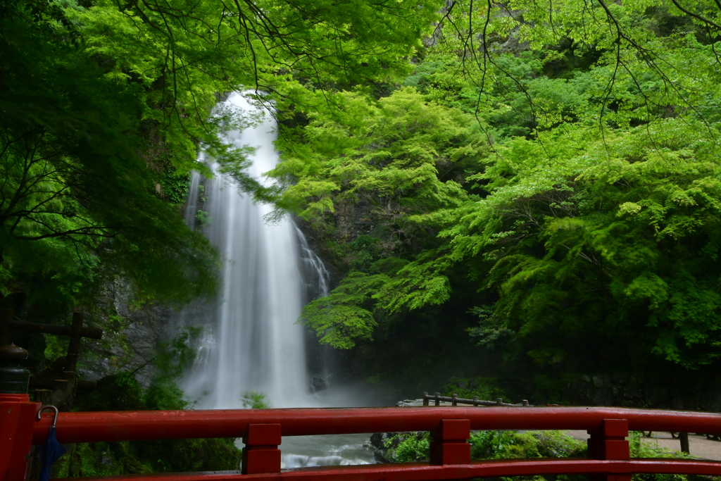 五月雨の箕面大滝