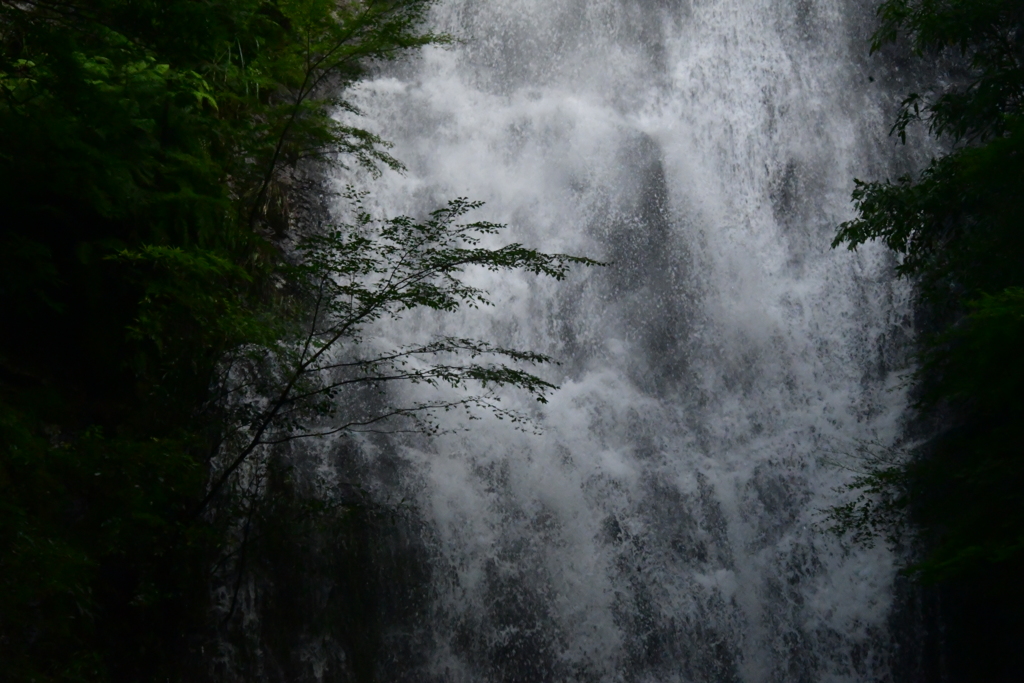 雨後の琴瀧