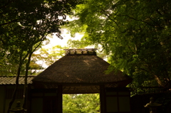 京都府　法然院