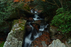 兵庫県三田市　尼ん滝