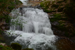兵庫県養父市横行渓谷　一の渡り瀧　２０１７