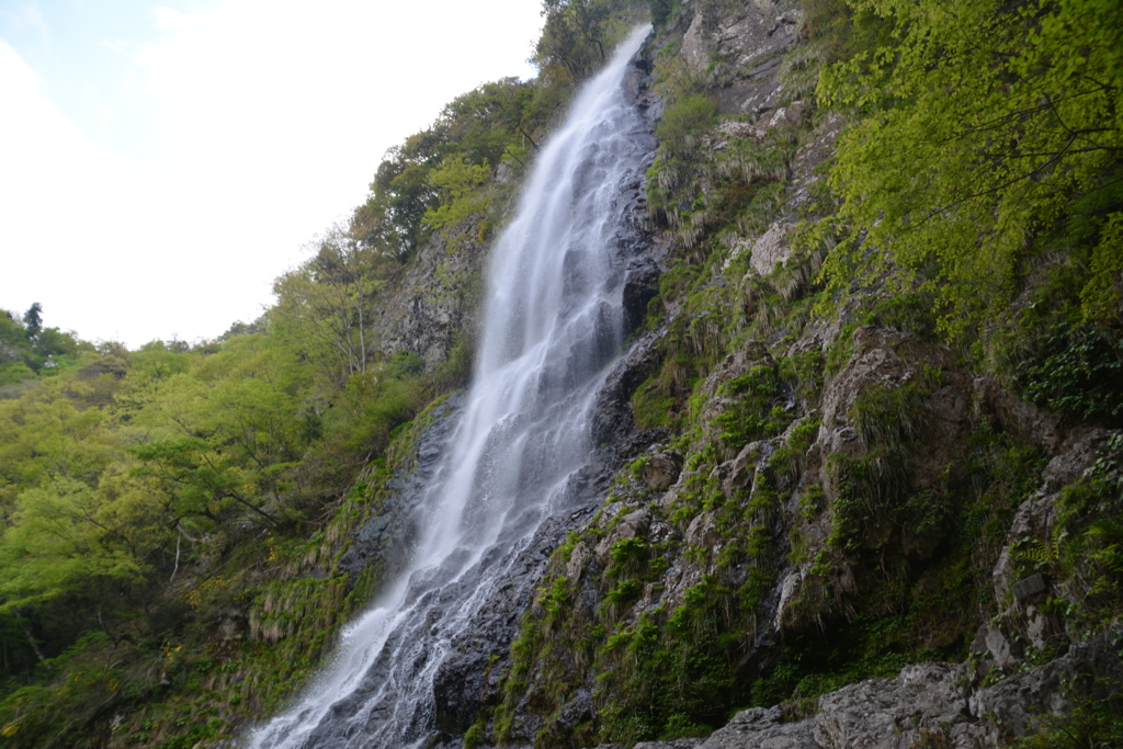 兵庫県養父市　天滝