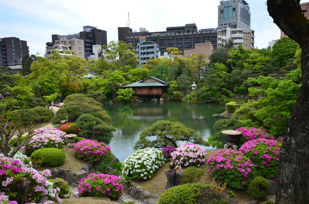神戸市　相楽園