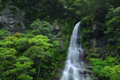 奈良県　高滝