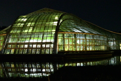 京都府立植物園　ライトアップ