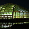 京都府立植物園　ライトアップ
