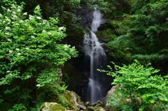 奈良県　ヌスット谷大滝