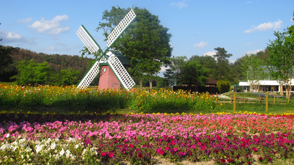 兵庫県立加西フラワーセンター