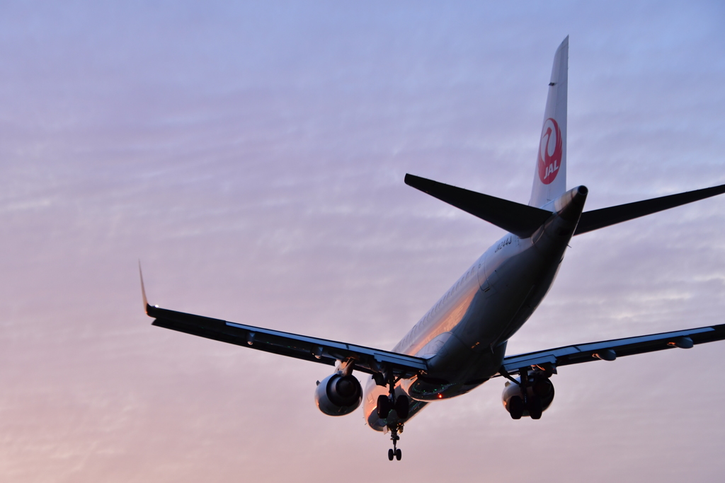 伊丹空港サンセット