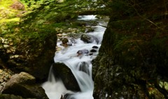 奈良県天川村　白倉谷