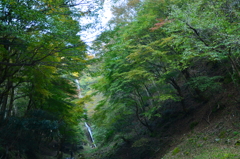 但馬　猿尾滝