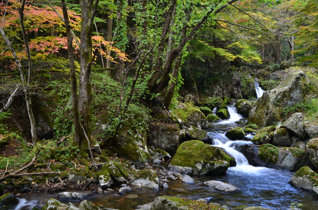 岡山県　鏡野　白賀渓流