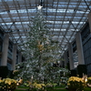関西一華麗なクリスマスツリー　２０１８
