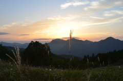 奈良県　曽爾高原