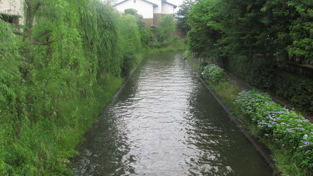 京都府　伏見界隈