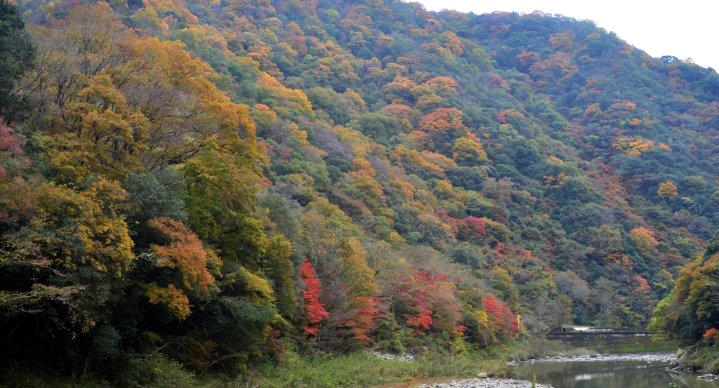 兵庫県　武田尾温泉