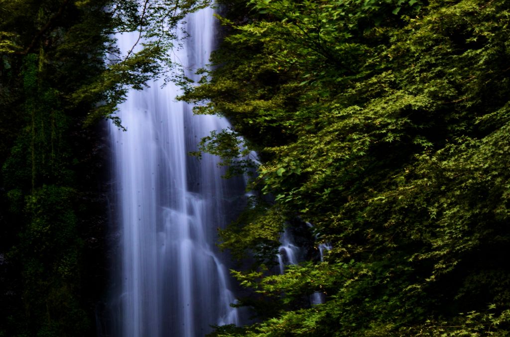 大阪府　箕面大滝
