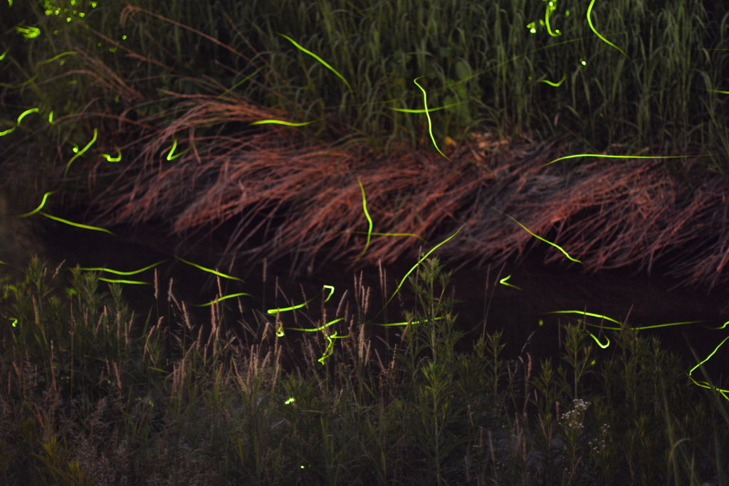 岡山県真庭郡北房 ほたる公園