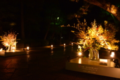 京都市　東山花灯路　２０１７