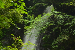 福井県　野鹿の滝