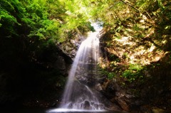 三重県伊賀上野　白藤の滝