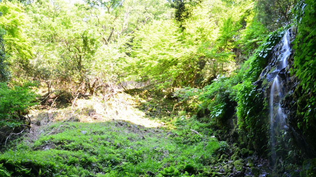 兵庫県香美町　久津山天の瀧２０１７