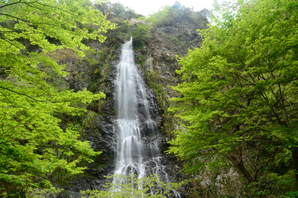 兵庫県養父市　天滝