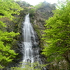 兵庫県養父市　天滝