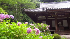 京都府　岩船寺