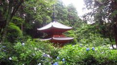 京都府　岩船寺