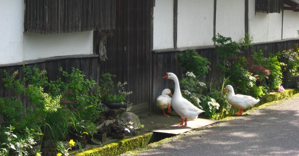 城下町の風景
