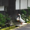 城下町の風景