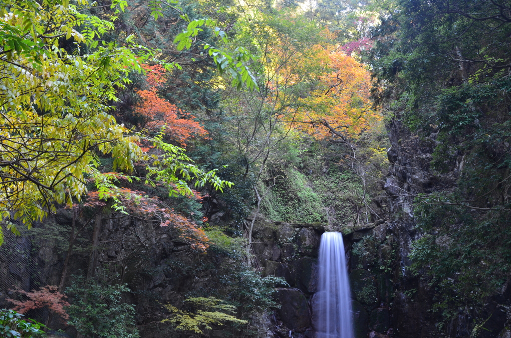 有馬温泉　紅葉と鼓ケ滝