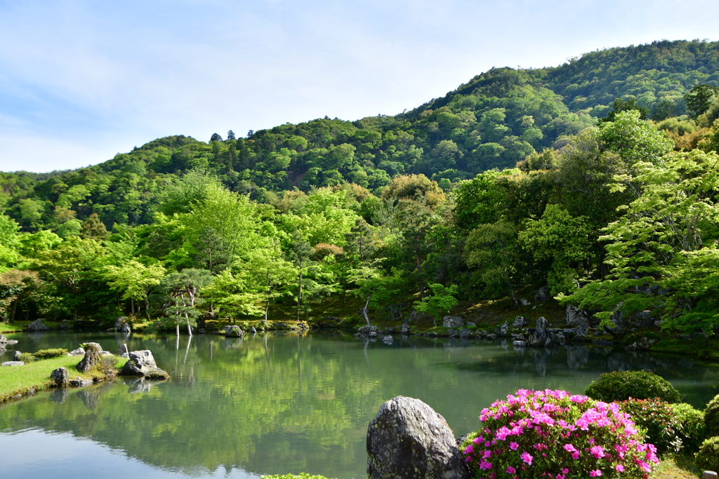 ２０１８新緑の古刹　天龍寺