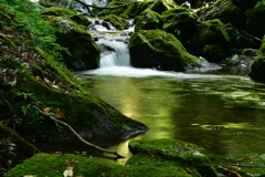 福井県大飯町　野鹿の瀧