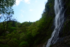 兵庫県養父市　天滝