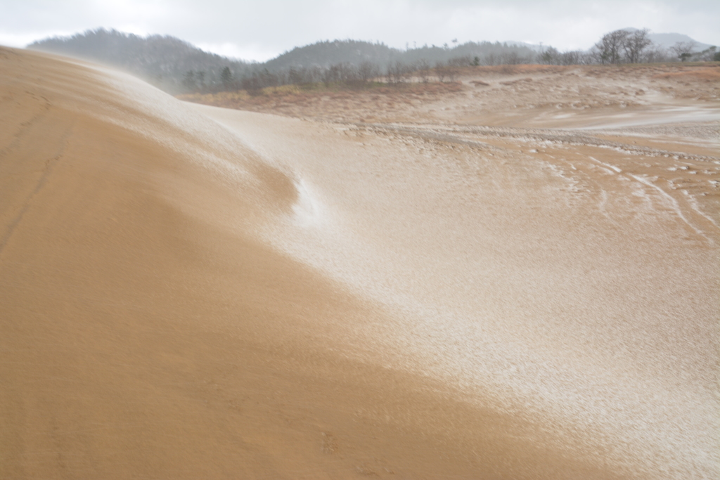 冬の鳥取砂丘