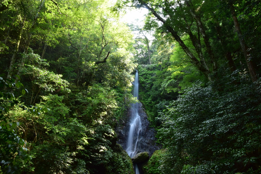 三重県大紀町笠木渓谷不動瀧