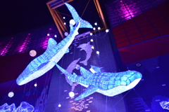 大阪　海遊館２０１７